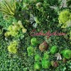 دیوار سبز مصنوعی برای بچه ها